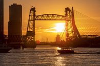 The Hef during sunset in Rotterdam. by Anton de Zeeuw thumbnail