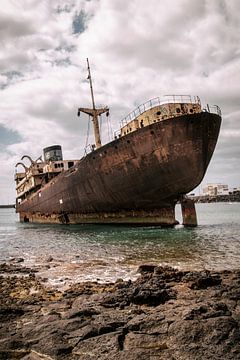 Shipwreck at the Sea by Vivian Teuns
