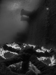 Schiffswrack