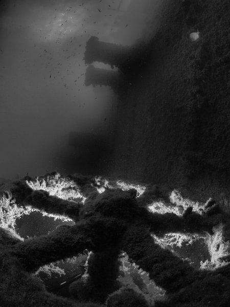 shipwreck by thomas van puymbroeck