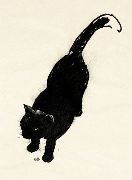 Micky, tekening van een kat van Pieter Hogenbirk