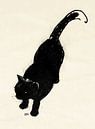 Micky, tekening van een kat van Pieter Hogenbirk thumbnail