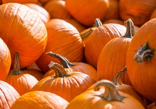 Courge d'Halloween