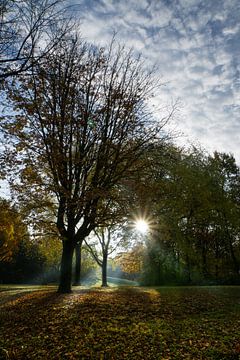 Sonnenaufgang-Park von Willian Goedhart