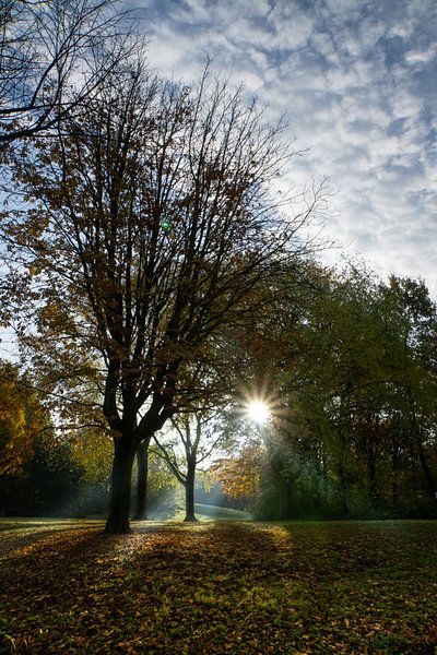 Zonsopkomst park van Willian Goedhart
