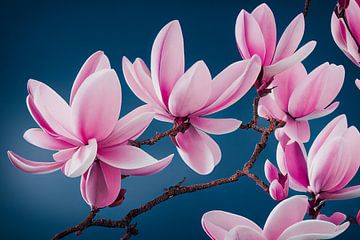 Roze magnolia-bloesems in de lente, kunstillustratie 01 van Animaflora PicsStock