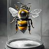 Abeille dans une cloche de verre nature morte minimaliste sur Maud De Vries
