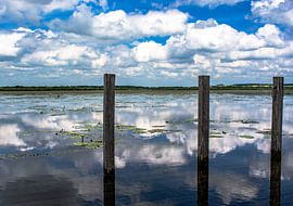 Bad Buchau : Der Federsee von Photoart-Naegele