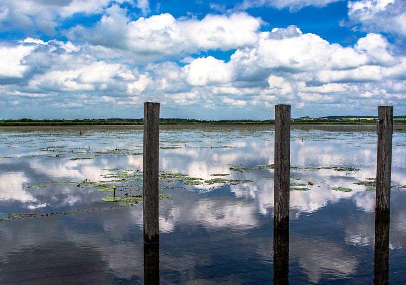 Bad Buchau : Der Federsee von Photoart-Naegele