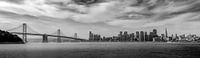 Skyline Panorama von San Francisco  von Toon van den Einde Miniaturansicht