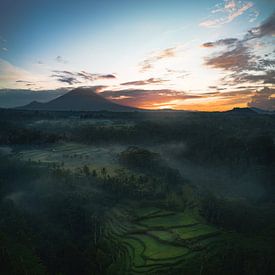 Zonsopkomst Rijstvelden in Bali met Vulkaan. van Roman Robroek