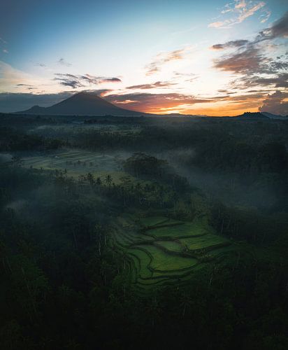 Sunrise Rice Fields in Bali with Volcano.