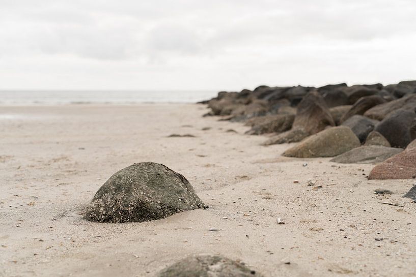 Strand Blåvant von Susanne van Hofwegen