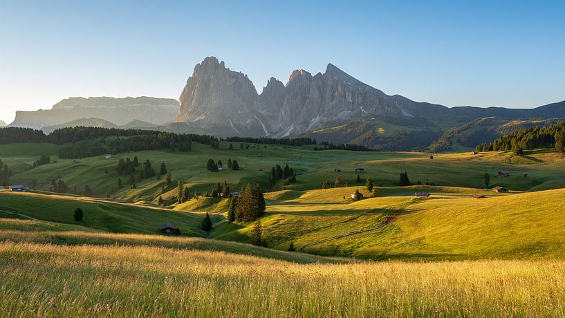 Zomermorgen op de Alpe di Siusi van Michael Valjak