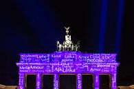 Brandenburger Tor in een bijzonder licht van Frank Herrmann thumbnail