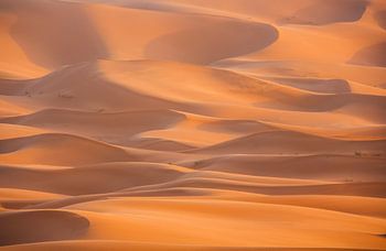 Sahara – Wellen aus Sand und Licht