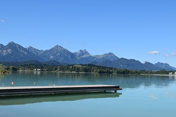 Alpen am Forggensee