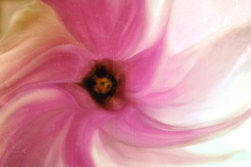 Fleur Cyclamen  résumé par Christine Nöhmeier