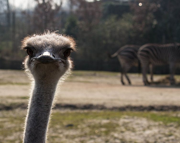 Hey you! van Margo Smit