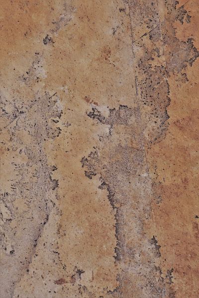 Abstract Nature 30 by Elbert Min