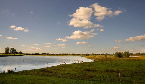 The floodplains of the river IJssel