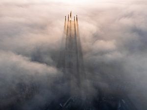 La cathédrale Saint-Bavon de Gand baignée de lumière sacrée