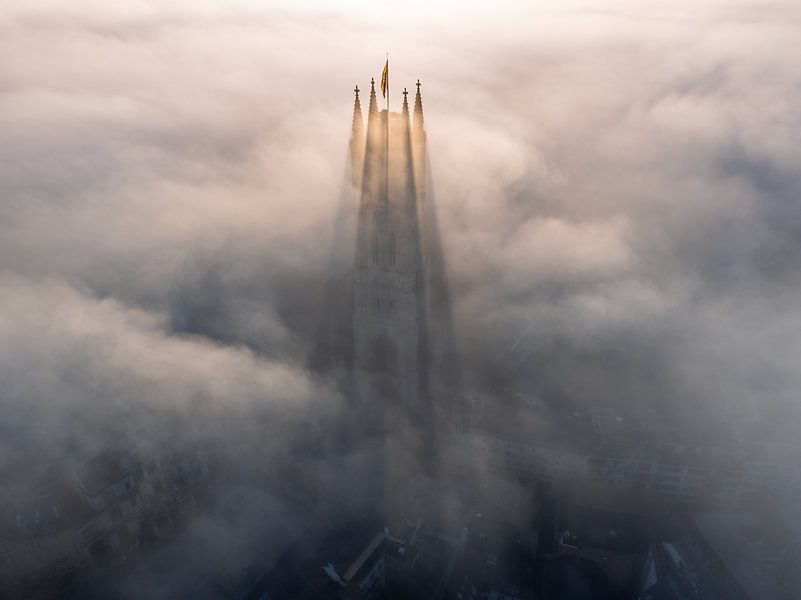 Gent's Sint-Baafskathedraal badend in heilig licht van Luc van der Krabben