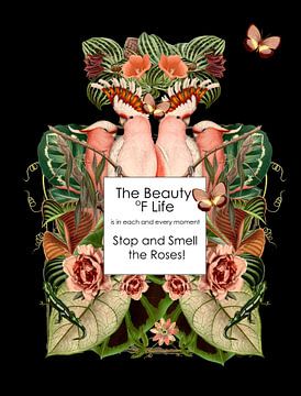 Stop and Smell the Roses - Rosa von Behindthegray