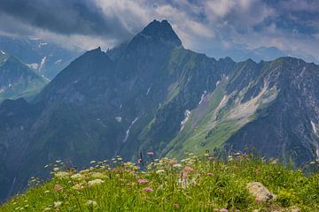 Höfats, Allgäu Alps van Walter G. Allgöwer