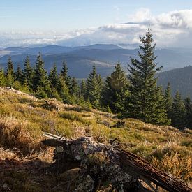 Das Grenze zwischen Polen und Tschechien von Peter Karels