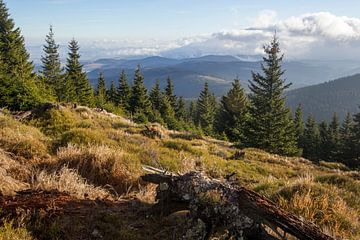 The border between Poland and Czech Republic by Peter Karels