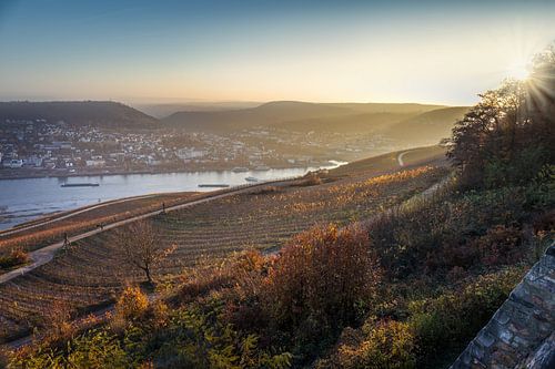 Blick vom Niederwald auf den Rhein bei Bingen