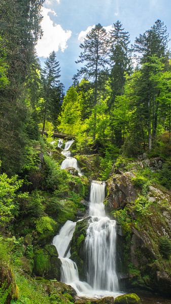 De nombreuses chutes d'eau dans une forêt verte, un paysage de jungle avec du soleil. par adventure-photos