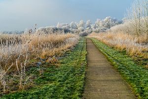 Le paysage des polders sur Ivo de Rooij