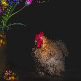The Rooster De haan van Corrine Ponsen