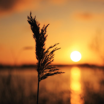 Goldener Moment