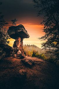 Teufelstisch, ein Steintisch im Pfälzerwald, Sonnenaufgang