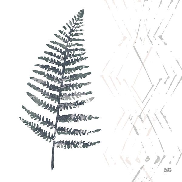 Nordic Fern I., Melissa Averinos von Wild Apple