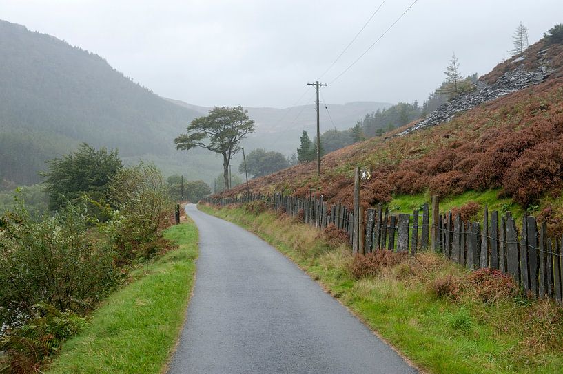 National Cycle Route 8 van Richard Wareham