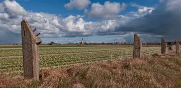 Landschap Den Hoorn Texel van Ronald Timmer