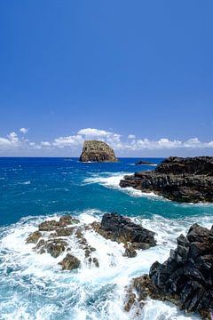 Wellen an der Nordküste der Insel Madeira von Sjoerd van der Wal Fotografie