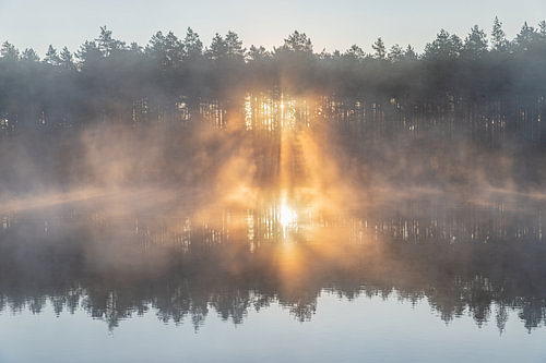 Zonnestralen door de Mist. Finland
