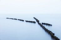 Holzbuhnen in der Ostsee von Tilo Grellmann Miniaturansicht