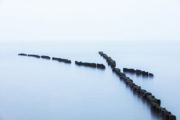 Wooden groynes in the Baltic Sea