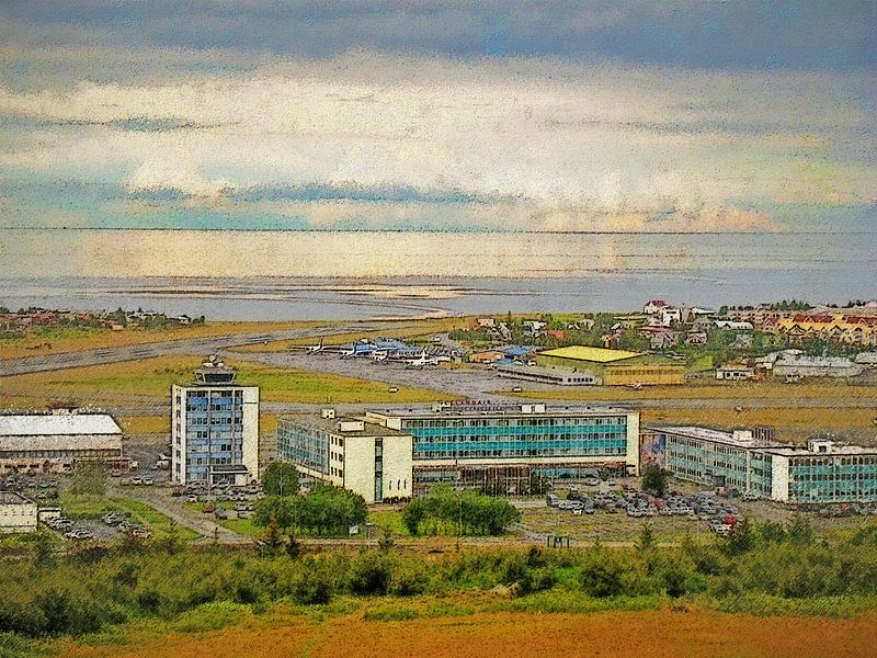 Sommer in Vatnsmyri, Island von Frans Blok