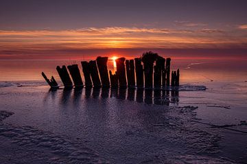 Tropical Sunset on Ice van Jasna Ivankovic