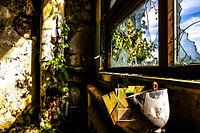 Zerbrochenes Fenster und wuchernde Natur – Verfall und Leben im Lost Place