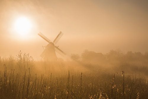 De Noordermolen (Noorddijk, Gr.) in ochtendlicht van goud.
