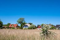 Building, trees and blue sky in Wieck, Germany van Rico Ködder thumbnail