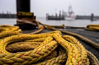 Port - List - Sylt by Stephan Zaun thumbnail